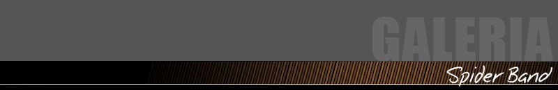 footer_galeria